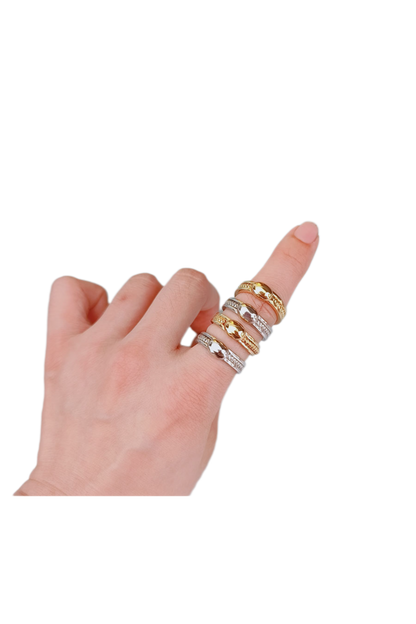 Fidget Ring Silver
